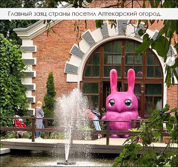 розовый заяц, скульптура в городе, Ольга Муравина